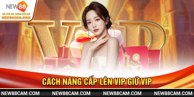Vip New88 – Nâng cấp thành viên nhận thưởng độc quyền 2025 3 Cách nâng cấp lên VIP & giữ VIP