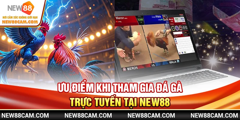 Đá Gà New88: Xem Trực Tiếp Trận Đấu & Đặt Cược An Toàn 3 Ưu Điểm Khi Tham Gia Đá Gà Trực Tuyến Tại NEW88
