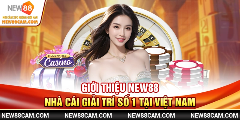 Giới Thiệu New88